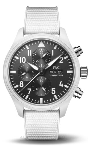 IWC Pilot's Watch (Ref. IW389105)